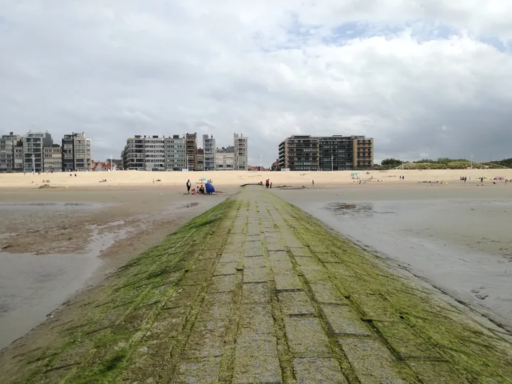 Kokzijde (Belgium)